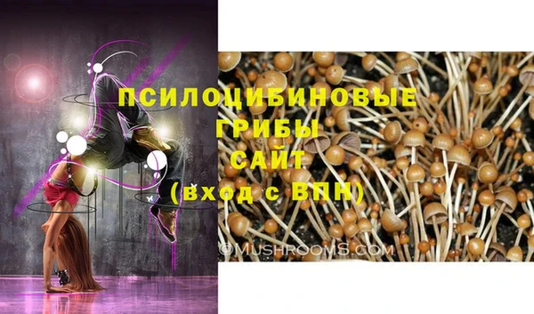 амф Белокуриха