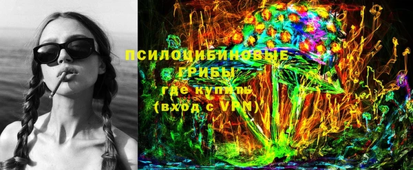 амф Белокуриха
