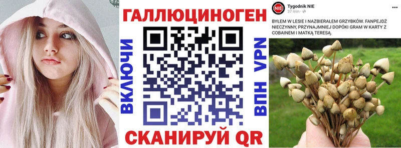 Галлюциногенные грибы прущие грибы  сколько стоит  Усть-Илимск 